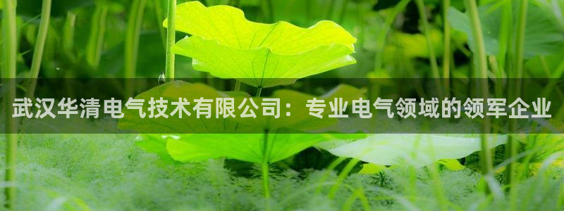 凯发网址登录