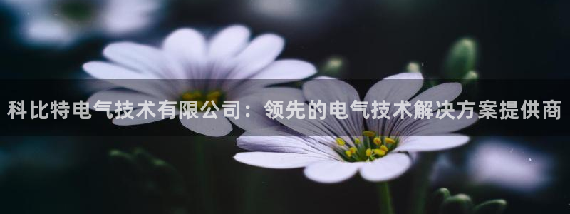 凯发官网入口首页