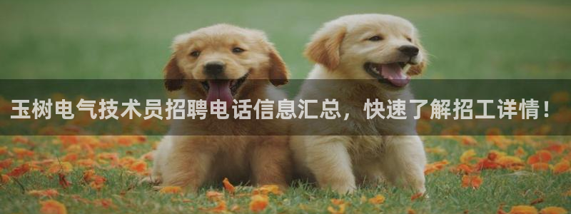 凯发官网登录手机版