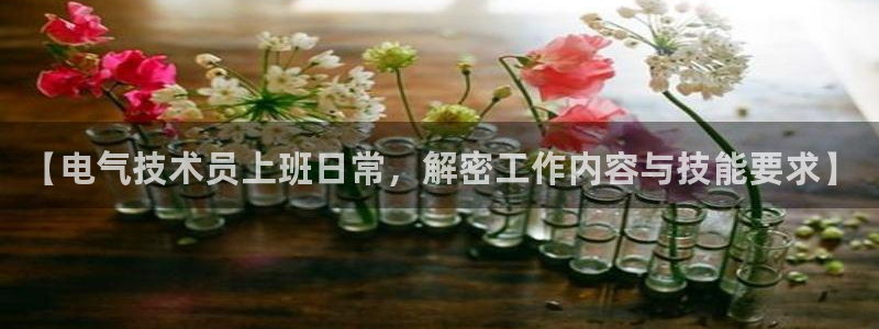 凯发登录网址：【电气技术员上班日常，解密工作内容与