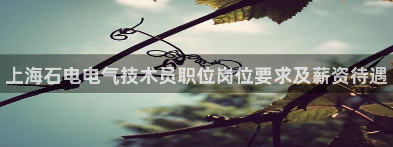 凯发k8旗舰厅app下载可靠送38元：上海石电电气
