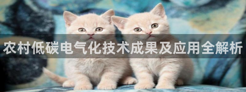 凯发k8旗舰厅手机下载