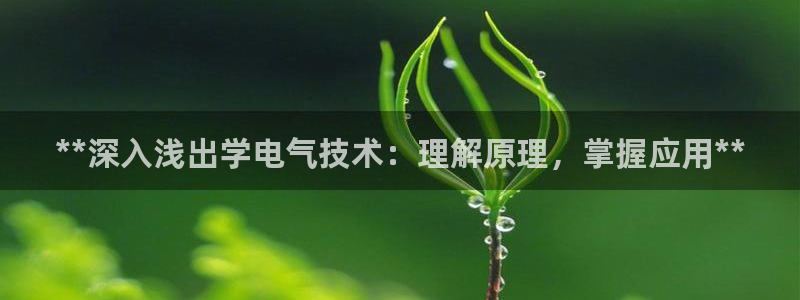 凯发k8官方旗舰店app