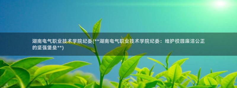 凯发旗舰