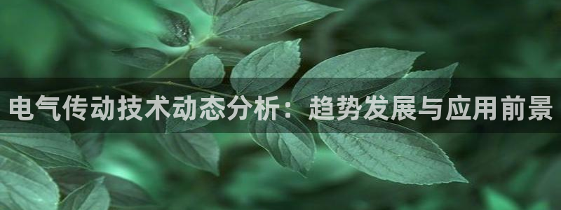 凯发国际网址官网