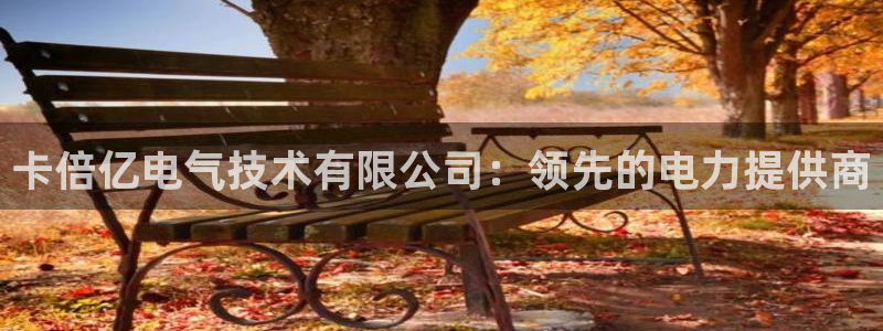 凯发k8国际真人版安全送38元：卡倍亿电气技术有限