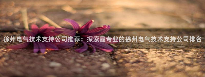 凯发k8国际版官网：徐州电气技术支持公司推荐：探索